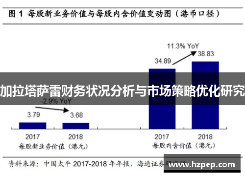 加拉塔萨雷财务状况分析与市场策略优化研究