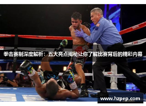 拳击赛制深度解析：五大亮点揭秘让你了解比赛背后的精彩内幕