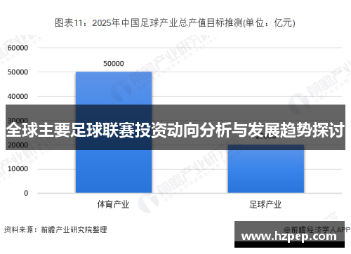 全球主要足球联赛投资动向分析与发展趋势探讨