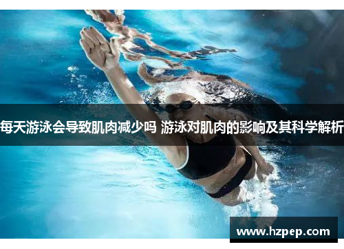 每天游泳会导致肌肉减少吗 游泳对肌肉的影响及其科学解析